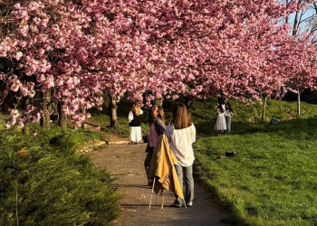 Украинцы, ботанический сад, фото из соцсетей