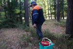 Прикарпатці похвалилися своїми грибами: "Перші в Україні"