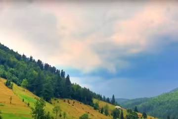 Карпаты, скриншот из видео