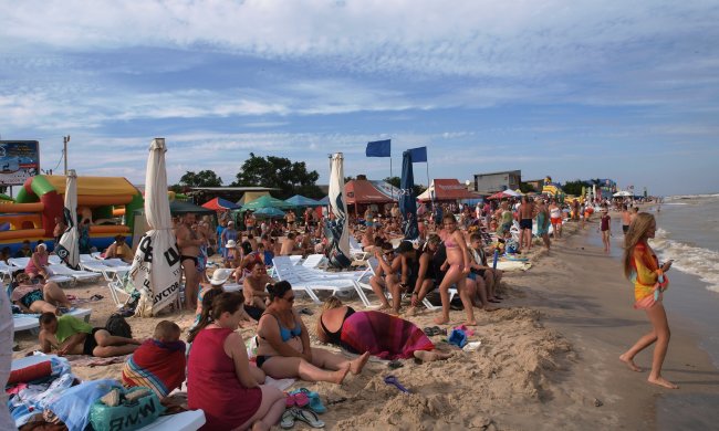 Кров у жилах застигла: пляжники на Азовському морі до смерті злякалися повзучого сусіда