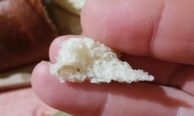 Черв'як в батоні, фото з Telegram-каналу