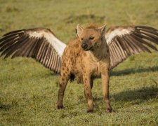 Фото, которые заставят вас краснеть: лучше пересмотрит дважды