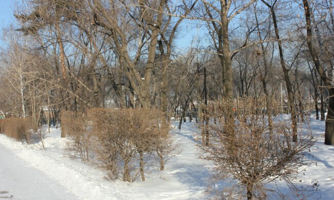 24 листопада: яке сьогодні свято — історія і традиції