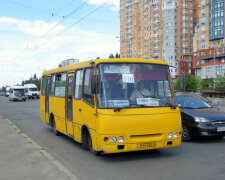 Вынесли вперед ногами: мертвецки пьяную днепрянку "закодировали" прямо в маршрутке, дикие кадры