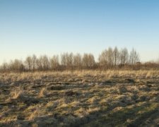 На Донеччині жінка підірвалась на розтяжці в полі