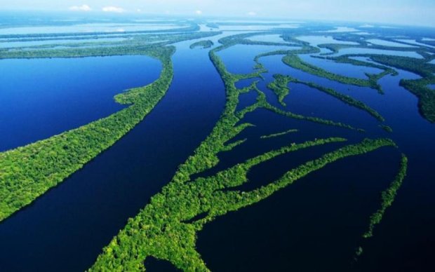 Уникальной природе Амазонки предрекают страшный конец