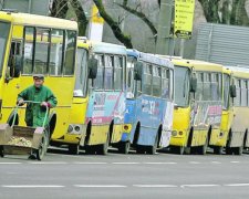 Уступать место или нет: в соцсетях развернулись настоящие баталии