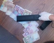 Хабарник допоміг знищувати житомирські ліси