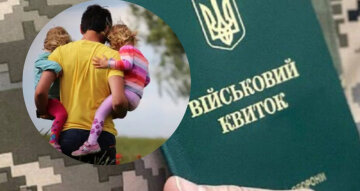 Схема выезда за границу через фиктивное отцовство