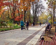 Кто зарабатывает больше всех: стала известна статистика