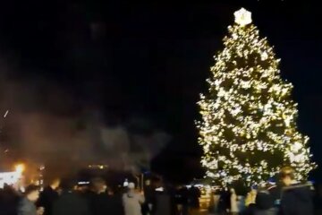 Ужгородці запалили під ялинкою у новорічну ніч, цей народ не перемогти - відео з серця Гуцульщини