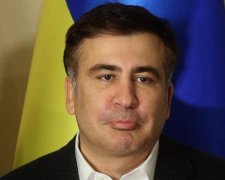 Вдова Вороненкова розповіла про полювання на Саакашвілі