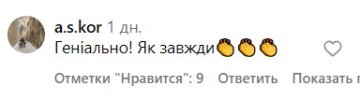 Коментарі під публікацією Вєрки Сердючки. Фото скрін з Instagram