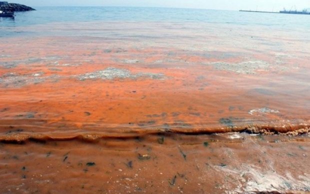 Мраморное море окрасилось в оранжевый цвет