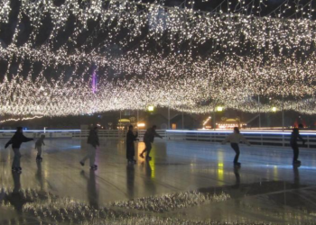 Українці, Київ, ковзанка, фото з соцмереж