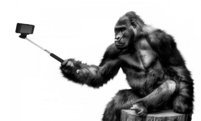 Селфі стануть яскравішими