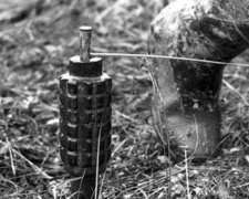 Пенсіонер підірвався на розтяжці в Станиці Луганській