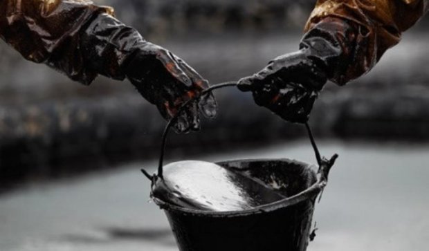 В Украине нашли нефть 