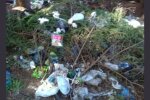 На Закарпатье исток Черной Тисы превратили в свалку - горы мусора, бутылок и бумаги