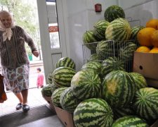 Цены на арбузы: почему подорожали бахчевые