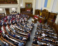 Під Києвом нардеп жорстоко побив голову сільради та спалив його автомобіль