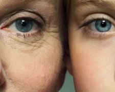 Прикарпатські вчені відкрили рецепт молодості