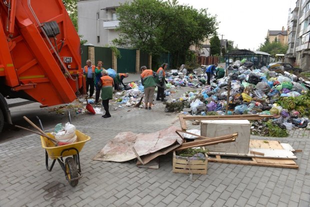 Львів'ян переселили на смітник: роздовбані вулиці та купи непотребу, - кадри тотального свинства