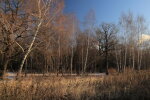 Погода в Україні, фото: PhotoCentra