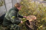 Держекоінспекція