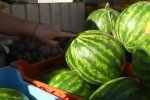 Арбузы, фото: скриншот из видео