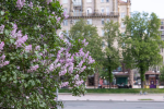 Весна в Україні, фото: Telegram//Р.К