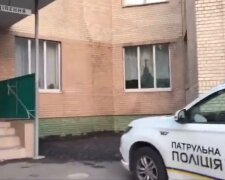 Осатанілий киянин з сокирою розрубав навпіл собаку