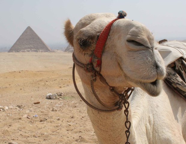 В єгипетський пірамідах не було розеток, але був струм