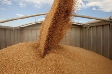 Українські аграрії зароблятимуть на поставках до Ірану