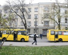 Самотня лавка "для старовірів" стала зіркою мережі: "Влада піклується про всіх"