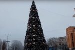 Новогодний "Человек-паук" залез на елку по гирляндам, но потом зацепился