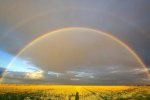 Не передати словами: чоловікові з дальтонізмом подарували чарівні окуляри