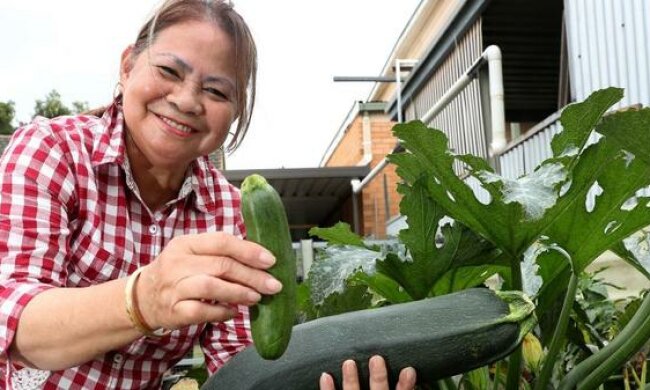 Смаж, печи, тушкуй: топ найкращих літніх страв із кабачків
