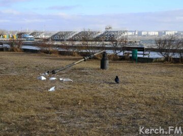 Набережна в Керчі, Kerch.FM