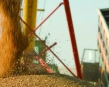 Україна імпортує навіть сільгосппродукцію