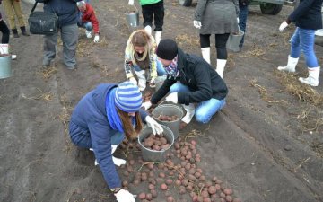 Джерело життя: цей овоч допоможе зцілитися