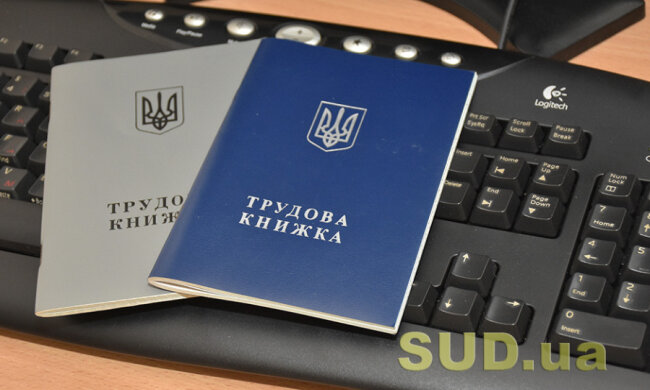Трудовая книжка и электронный реестр ПФУ