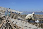 Жуткий запах и фиолетовое море: жители аннексированного Крыма бьют тревогу