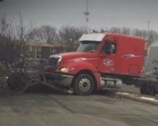 Водій-собака не справився з керуванням вантажівки (відео)