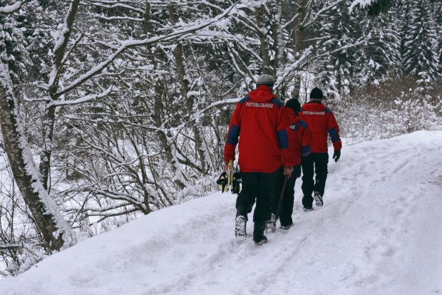 Карпаты засыпало снегом в разгар весны: спасатели предупредили об опасности