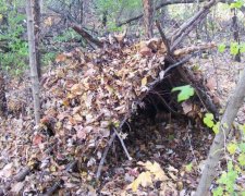 Чистый ужас загнал мужчину в леса под Киевом