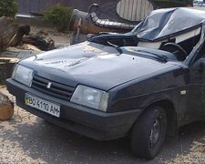 На франківських поліцейських, що перебували в машині, впало дерево (фото)