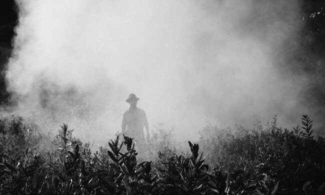 чоловік, фото pxhere