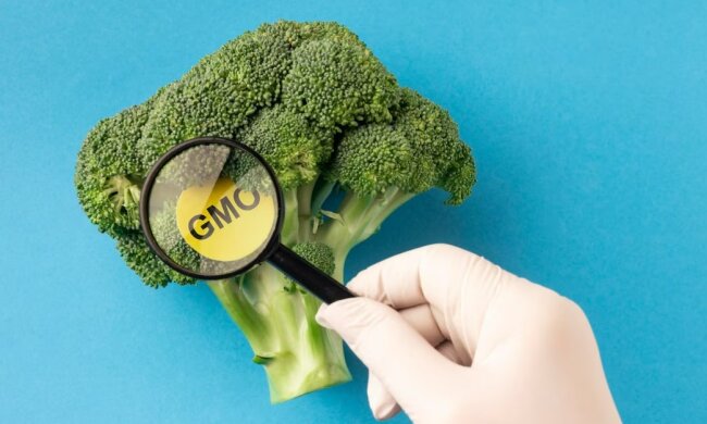 ГМО. Freepik фото