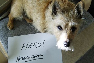 Je Suis Diesel: світ згадує пса-поліцеського, що загинув у Парижі (фото)